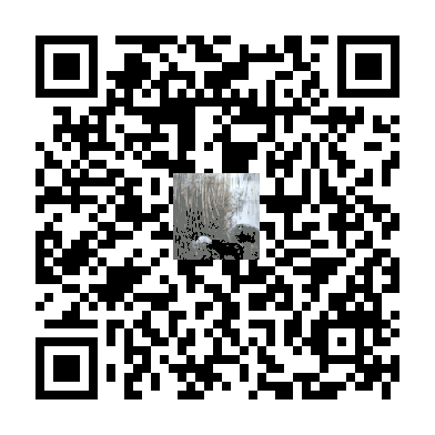 待添加