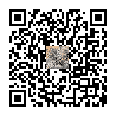 待添加